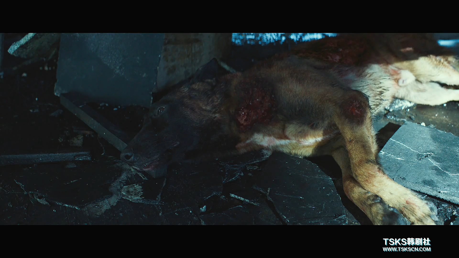 复仇与救赎免费阅读,复仇韩国电影催泪