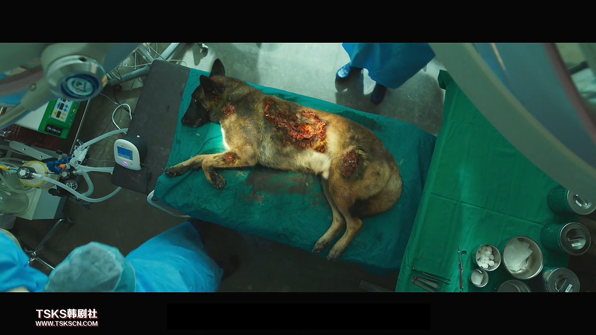 复仇与救赎免费阅读,复仇韩国电影催泪