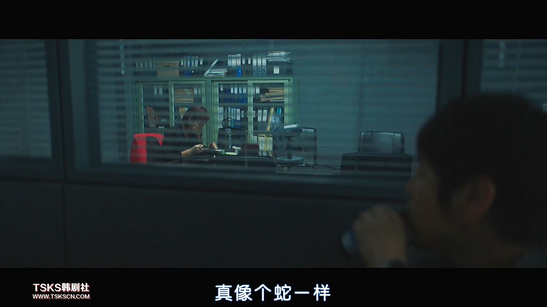 复仇与救赎免费阅读,复仇韩国电影催泪