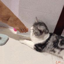 治疗脚气的最便捷方法,除脚气的绝招