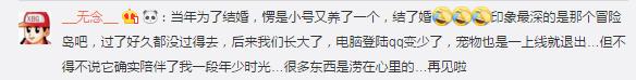 qq宠物停止运营热搜榜,qq宠物停止运营的那一刻
