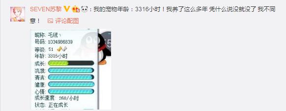 qq宠物停止运营热搜榜,qq宠物停止运营的那一刻