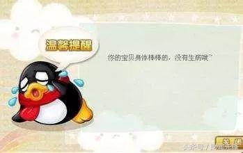 QQ宠物将停运曾经想弄死它现在想它永远不要离去！