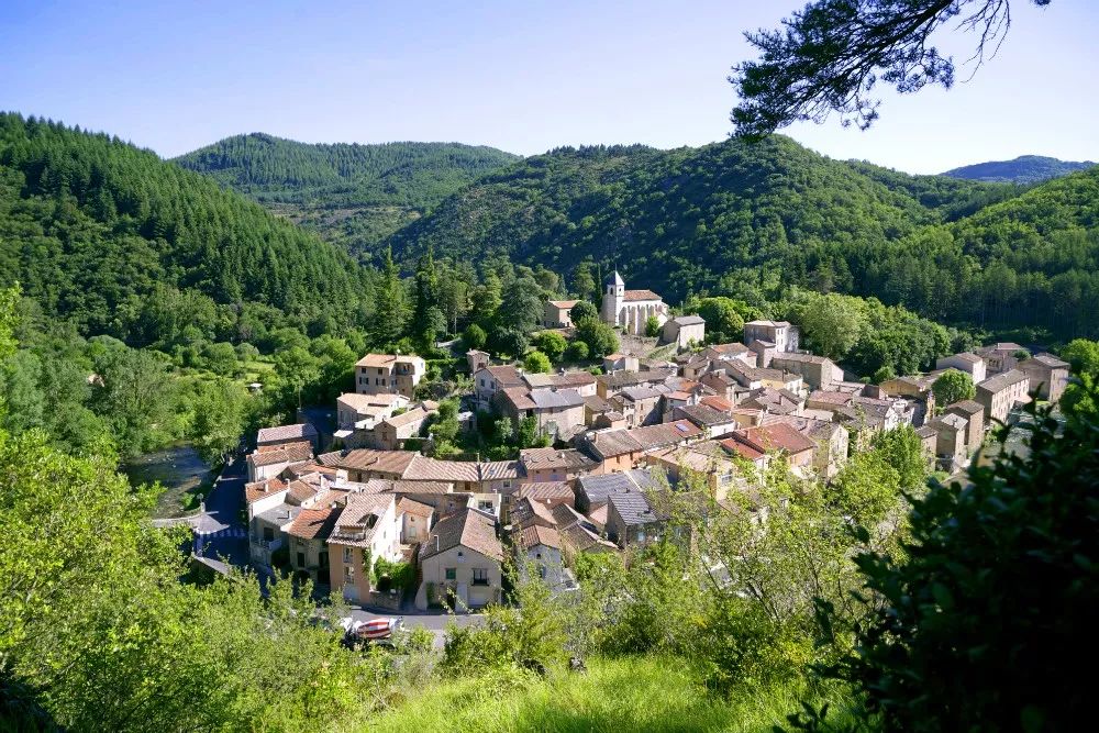 为什么法国女人特别优雅,法国女人最爱的品牌