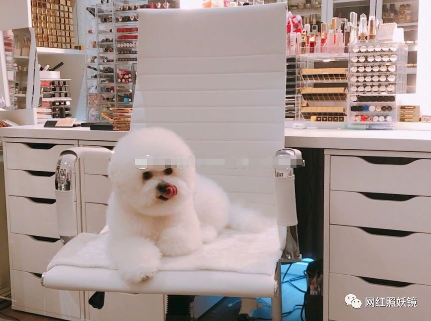 张辛苑用的化妆品,张辛苑化妆台图片