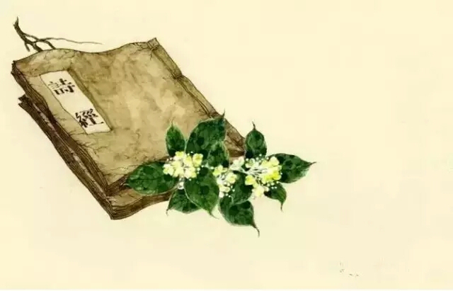 “诗经”读书笔记之“桃夭”文/锦梦素心（陌上公子）