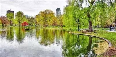 你熟悉的成都“四美”已经变成“五美”了,你知道那是什么吗?