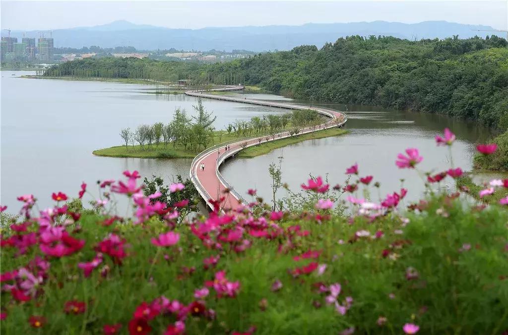 你熟悉的成都“四美”已经变成“五美”了,你知道那是什么吗?