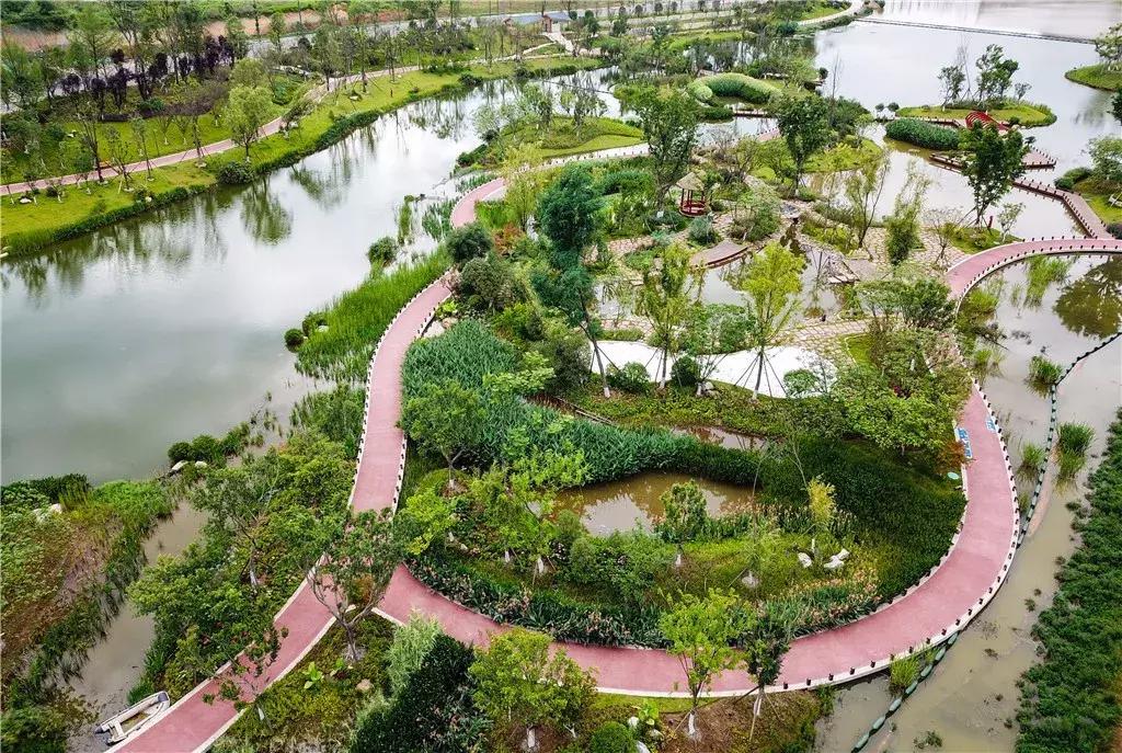 你熟悉的成都“四美”已经变成“五美”了,你知道那是什么吗?