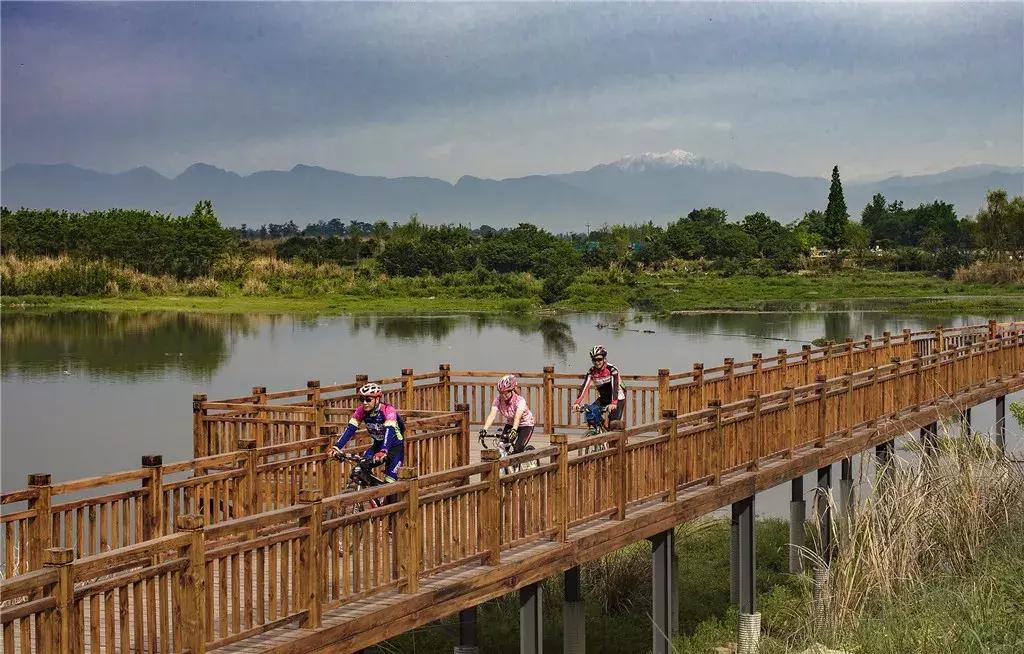 你熟悉的成都“四美”已经变成“五美”了,你知道那是什么吗?