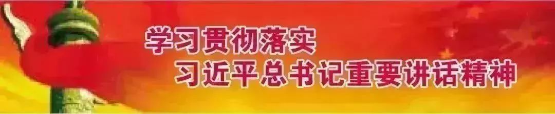 法院强拆违建报道,法院强制拆除违建房现场视频