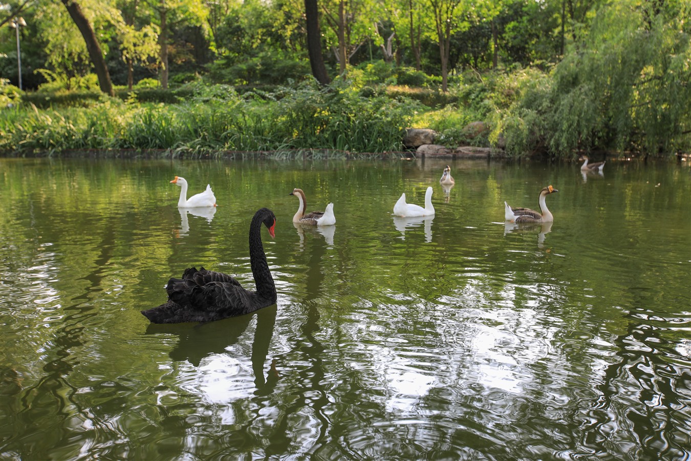雪后蓝石大溪地,厦门蓝石大溪地
