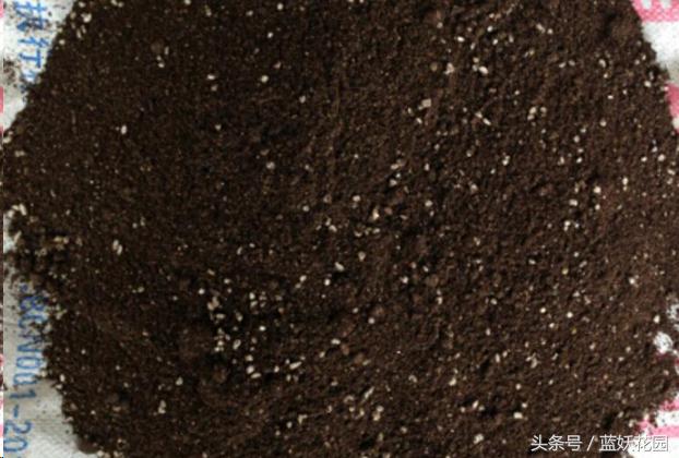 椰糠土浇水不烂根方法,养花浇水浇不透怎么办