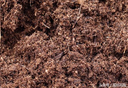 椰糠土浇水不烂根方法,养花浇水浇不透怎么办