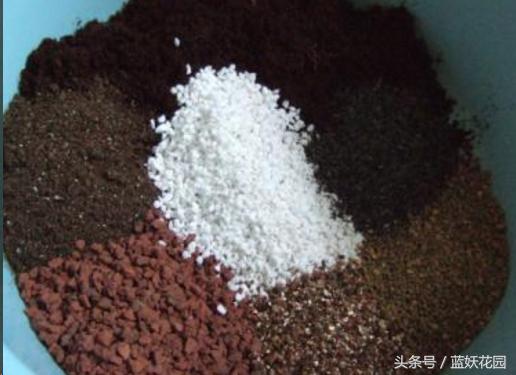 椰糠土浇水不烂根方法,养花浇水浇不透怎么办