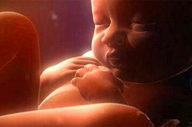 胎宝在孕妈肚子里流口水,胎宝宝在妈妈肚子里忙什么