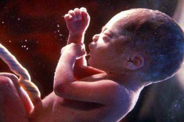 胎宝在孕妈肚子里流口水,胎宝宝在妈妈肚子里忙什么