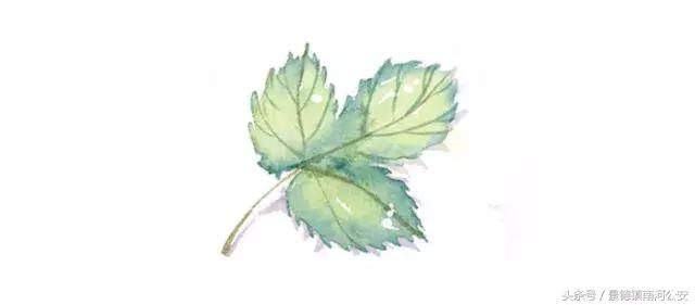 昌飞往事｜激情燃烧的6月