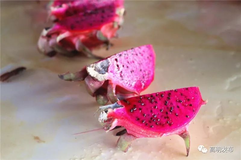 西瓜芒果凤梨百香果,凤梨芒果火龙果西瓜