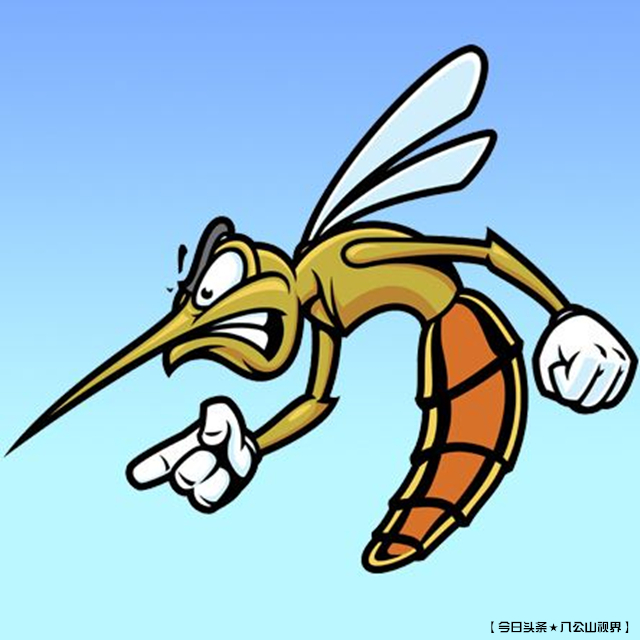 城乡话题|打蚊子