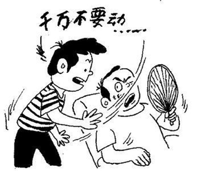 城乡话题|打蚊子