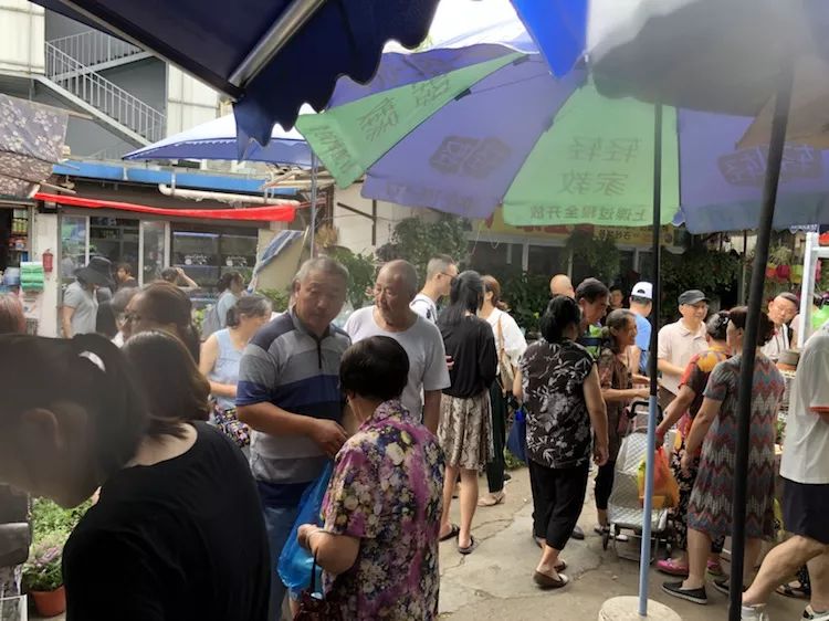 苏州皮市街花鸟市场要拆吗,苏州皮市街花鸟市场搬到哪里