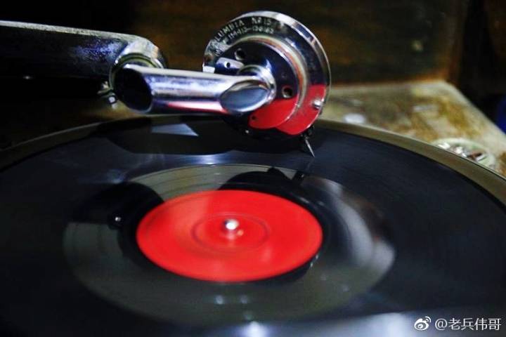 夏日的大连三寰牧场,大连三寰牧场和英歌石植物园