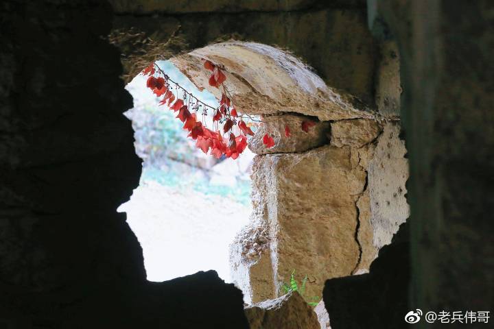 夏日的大连三寰牧场,大连三寰牧场和英歌石植物园