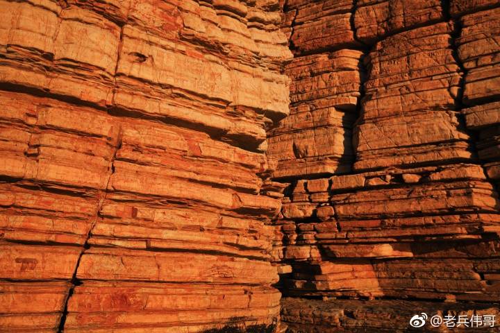 夏日的大连三寰牧场,大连三寰牧场和英歌石植物园