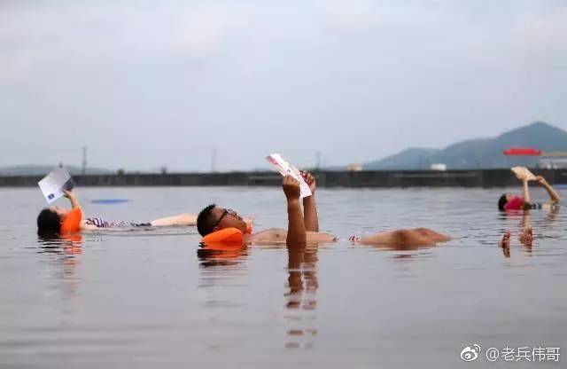 夏日的大连三寰牧场,大连三寰牧场和英歌石植物园