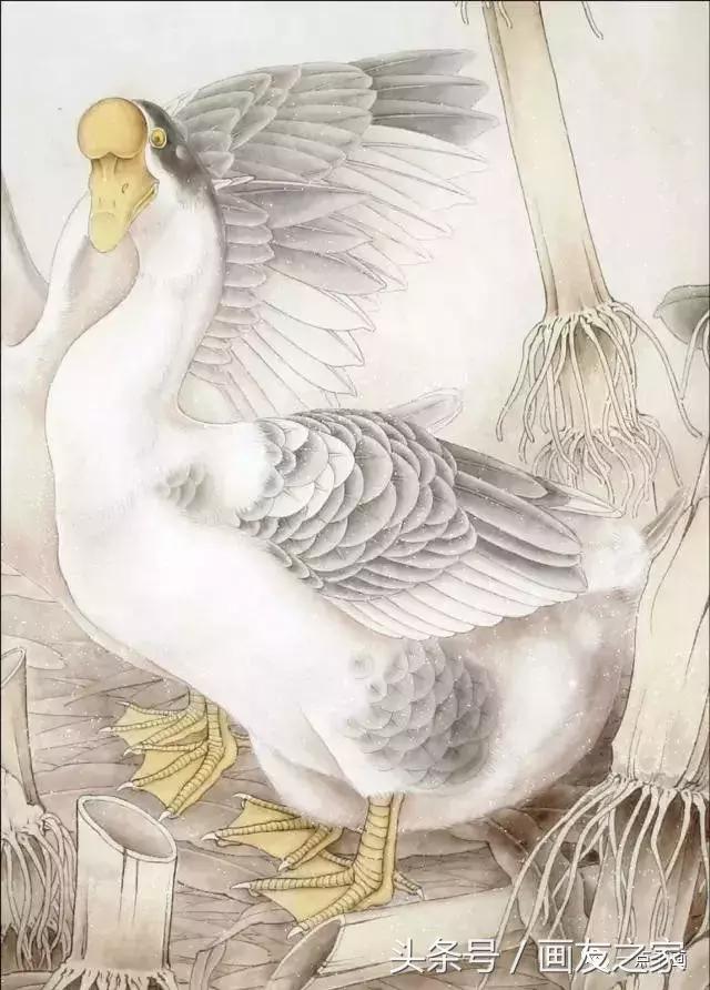 工笔大鹅的画法,工笔大鹅上色作品