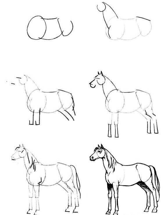 世界上最逼真的马画,超级逼真的马画