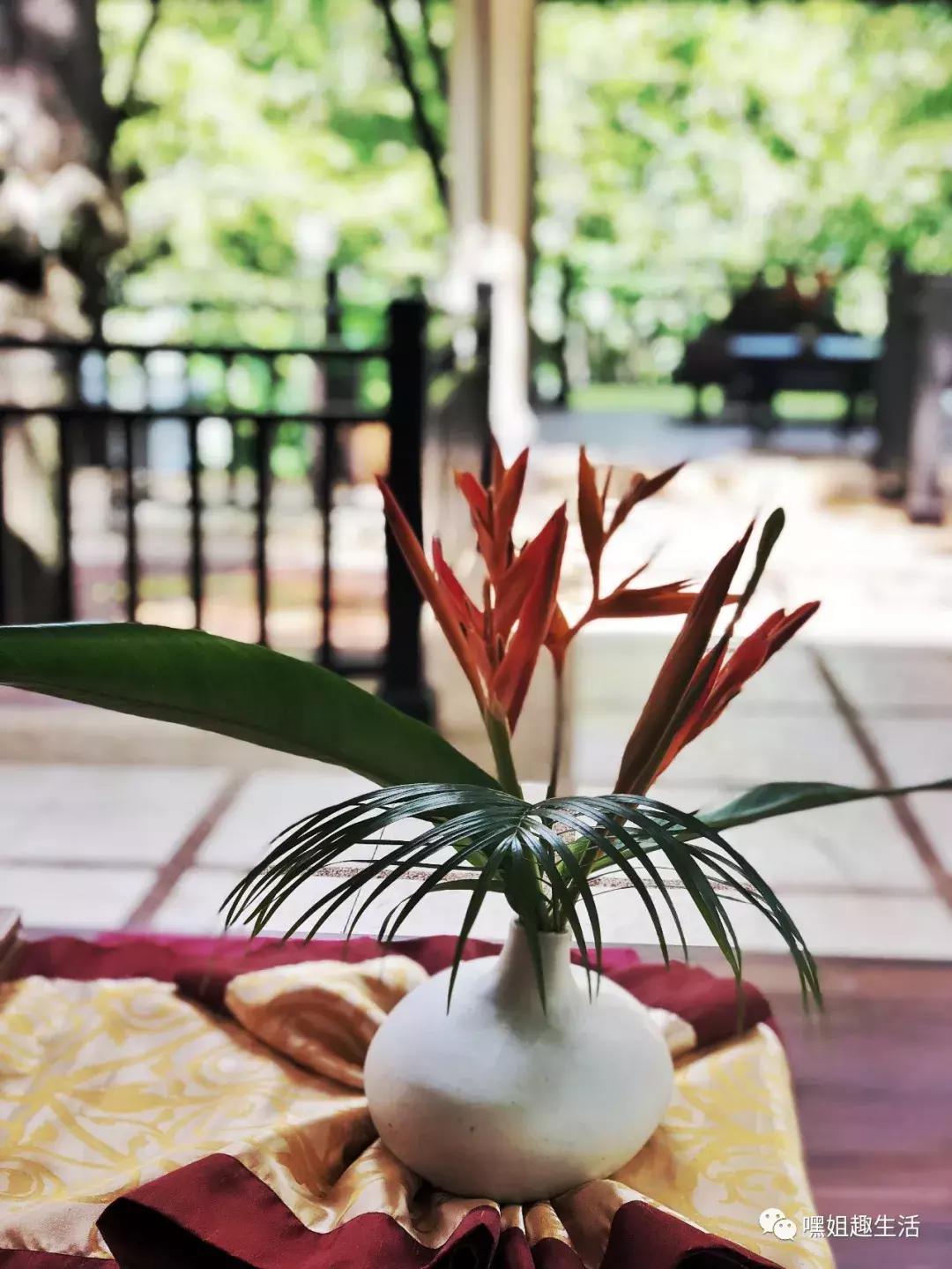 游记|阳光沙滩做SPA,是我人生中性价比最高的旅行!