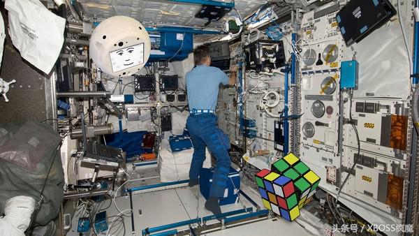 像小狗一样的机器人,像小狗一样可爱机器人