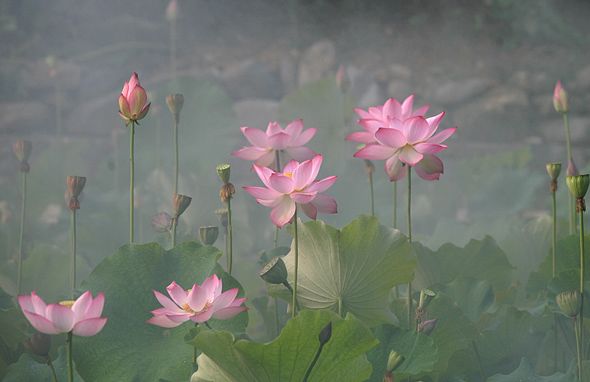 十堰市周末去哪儿玩免费的,夏季十堰去哪玩