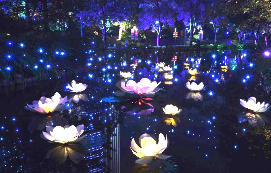 十堰市周末去哪儿玩免费的,夏季十堰去哪玩