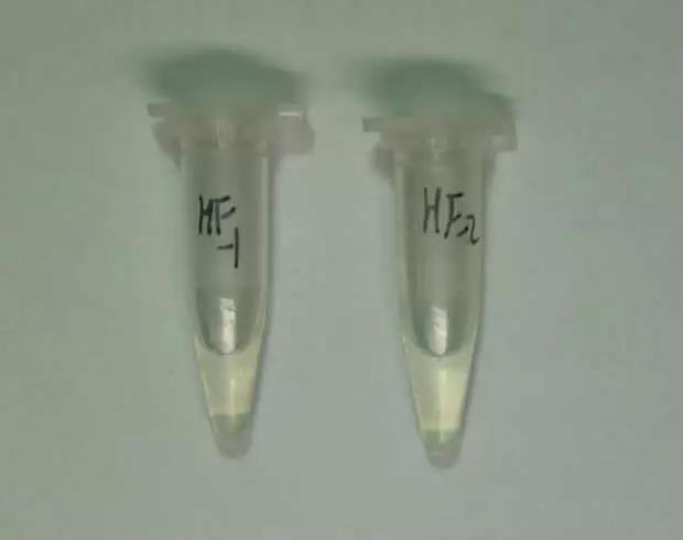 国家禁毒办全民禁毒教育指导意见,国家禁毒宣传标准