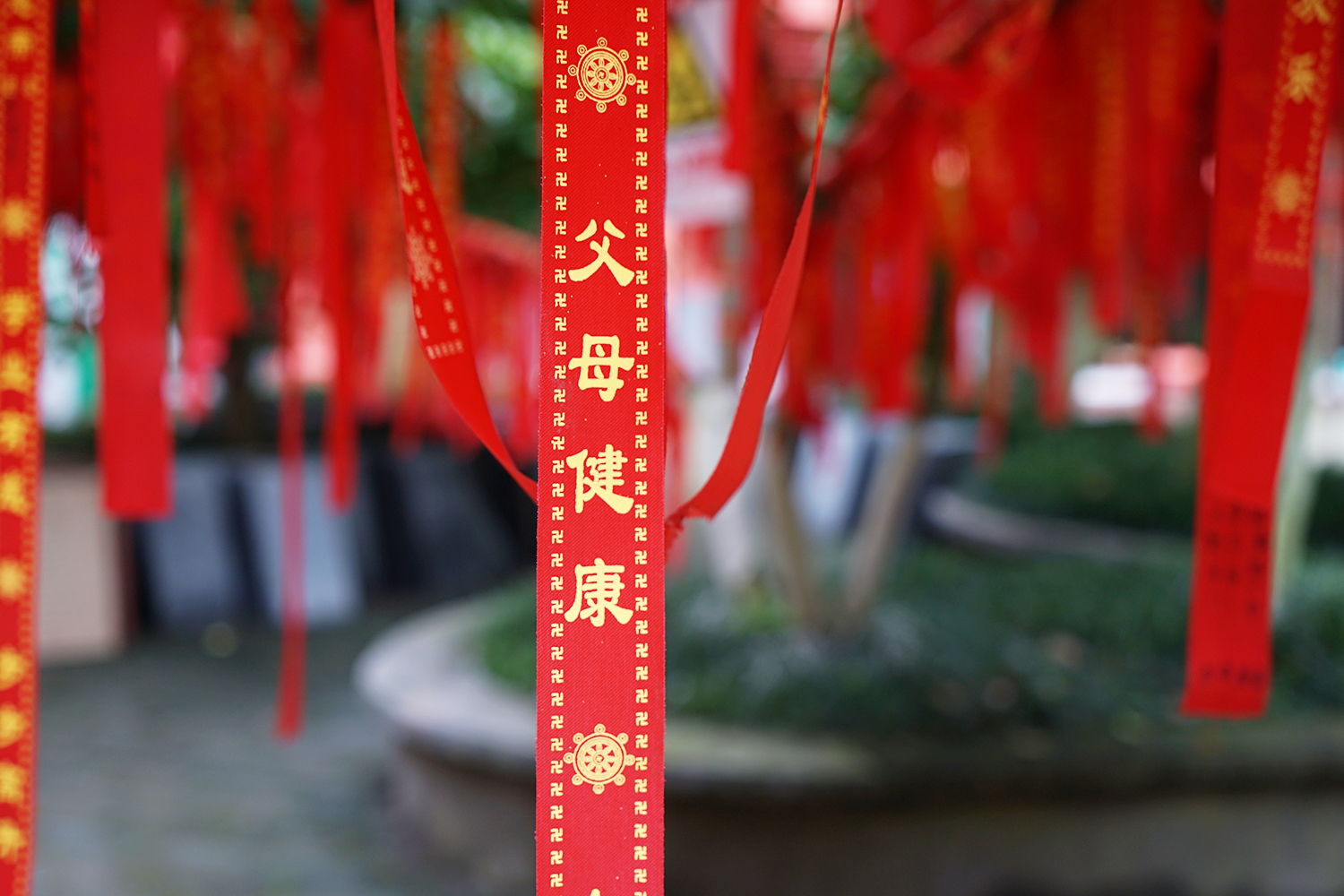 赣州古桥一日游,走古街串古巷