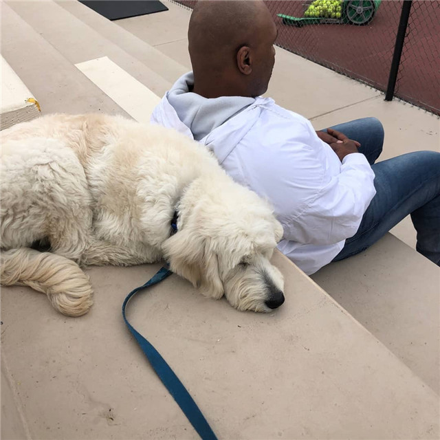 拳王泰森现在的照片,拳王泰森生活近况