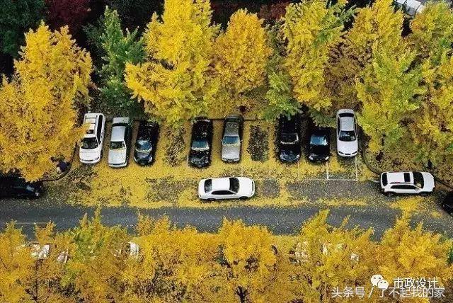 鍩庡競閬撹矾璁捐瑙勮寖鏁欑▼,鍩庡競閬撹矾璁捐瀹藉害