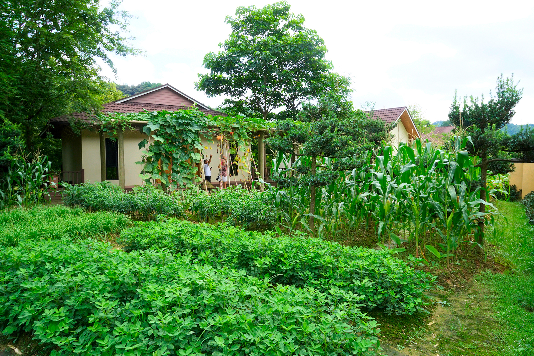 赣州古桥一日游,走古街串古巷