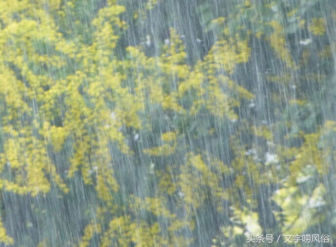 久晴大雾必阴前两句是什么谚语,久晴大雾必阴表示哪种雾