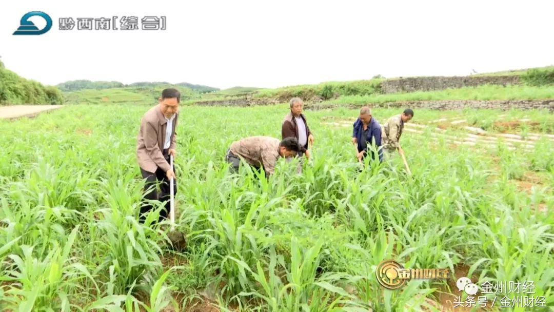 「财经关注」兴仁农商行：驻村干部解民忧办实事