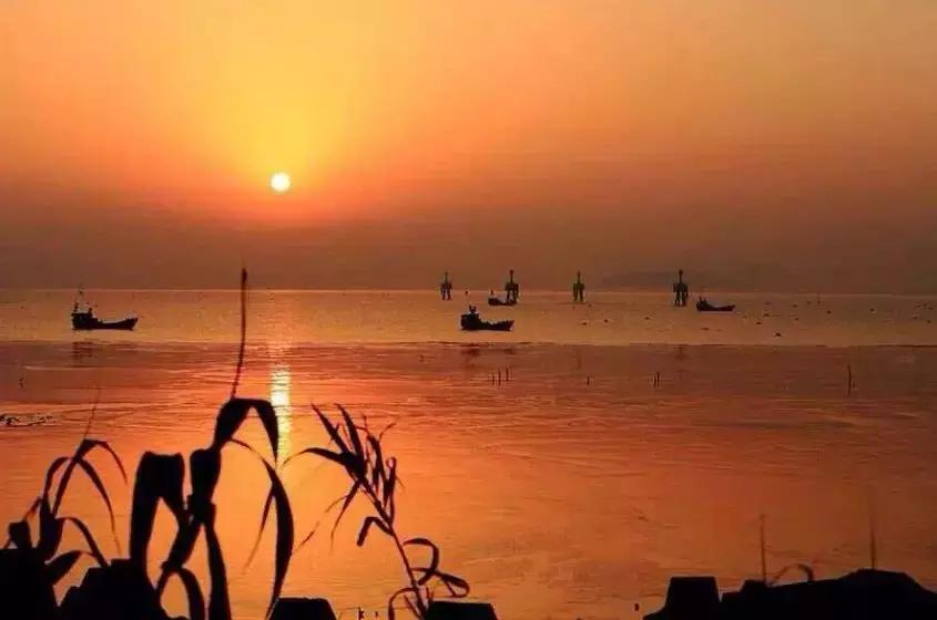 金山人的身价要暴涨!未来将要打造特色小镇,改善交通