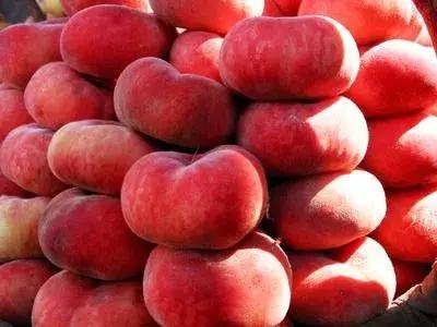 金山人的身价要暴涨!未来将要打造特色小镇,改善交通