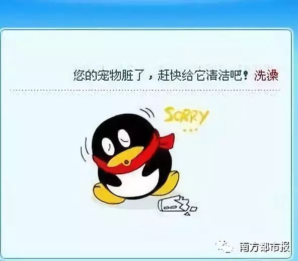 qq宠物停服最后三分钟,qq宠物停运视频