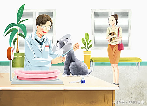 保安患狂犬病死亡,宠物狗突发狂犬病死亡