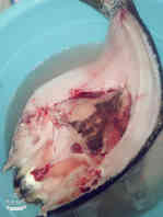 去餐厅吃饭等了一个多小时,剁椒鱼在家也能做出饭店的味道