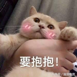 开局三条龙的单机游戏,开局带条狗的老单机游戏有哪些