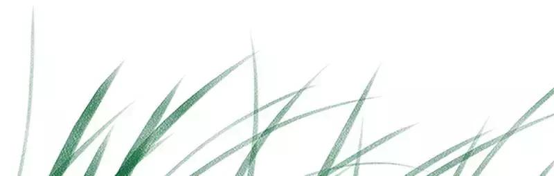 豫东水城摄影——老子故里鹿邑人文自然百科（五）